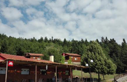 Livadaki Village - Δασικό Χωριό Λιβαδάκι - Foto 21