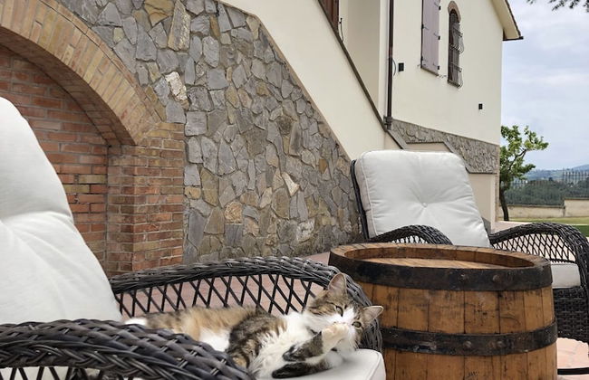 Podere La Quercia - Photo 35