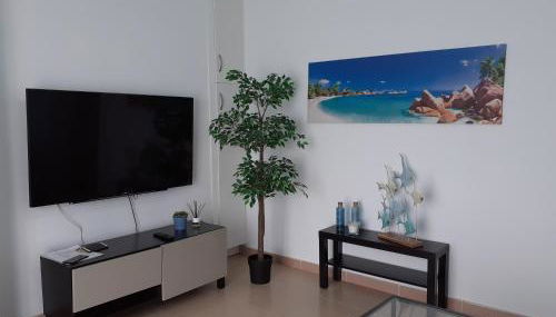 ATICO CON TERRAZA, CENTRO DE SANTA CRUZ DE TENERIFE - Foto 4