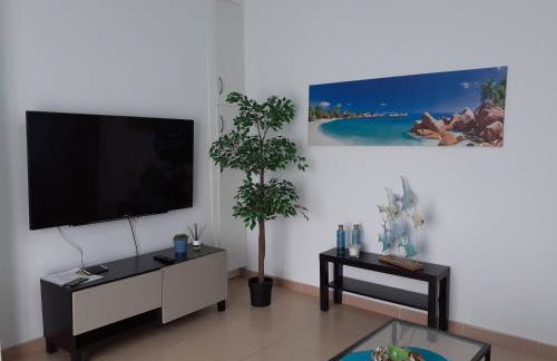 ATICO CON TERRAZA, CENTRO DE SANTA CRUZ DE TENERIFE - Foto 4