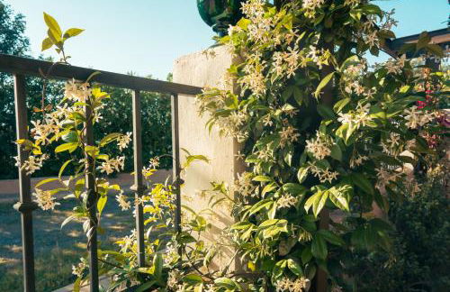 Origen Andévalo Alma y paisaje - Foto 13