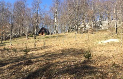 Villa Bodulica - Secluded Mountain Retreat and gateway to Plitvice Lakes - Foto 18