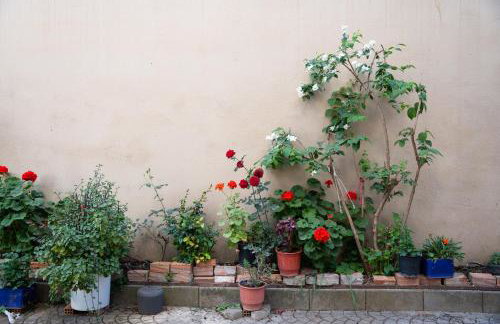 NYX Guesthouse - Photo 49