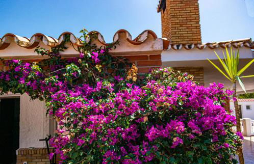 Villa Yanna - Foto 36