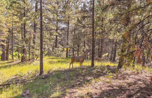 Wooded Retreat with Deck 4 Mi to Downtown Flagstaff - Photo 24