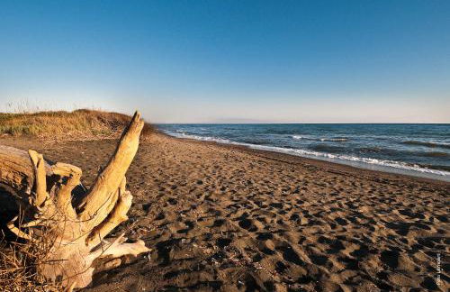 Podere Del Gesso - Foto 31