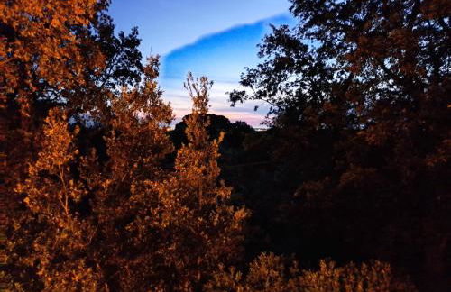 casa con bosco e vista mare - Foto 15