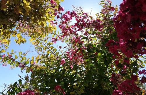 Belle demeure au coeur des Ménafauries - Photo 18