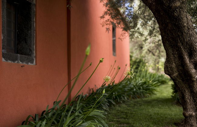 Casa Arrigo - Foto 52