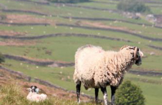 Spacious and bright 1 - bedroom rental unit - Photo 6