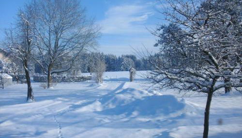 Ferienhof-Fink-Ferienwohnung-Kleeblatt - Foto 4