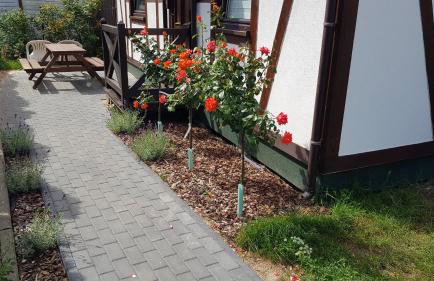 Pustkowo Domki Wakacyjne u Marka - Foto 8