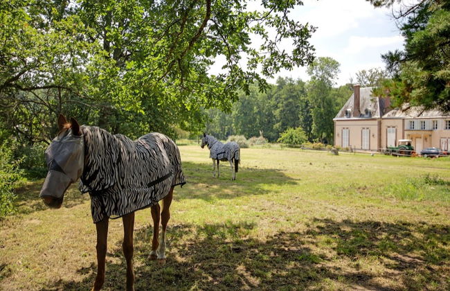 Charming Holiday Home in Raizeux Near Forest - Foto 27