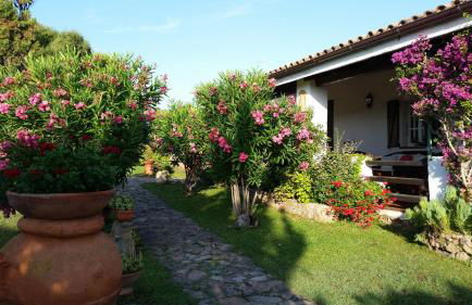 Villa La Liccia Misia - Foto 1