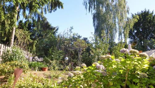 Schwalbennest - Photo 4, Garden view