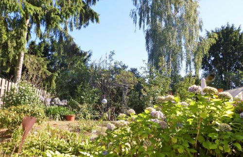 Schwalbennest - Foto 4