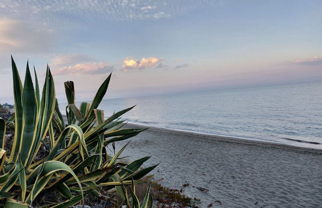 Club Corsicana FKK- Feriendorf - Foto 20