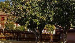 Casa de la Presa - Foto 4, Garden, sunbed, Garden view