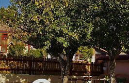 Casa de la Presa - Foto 4