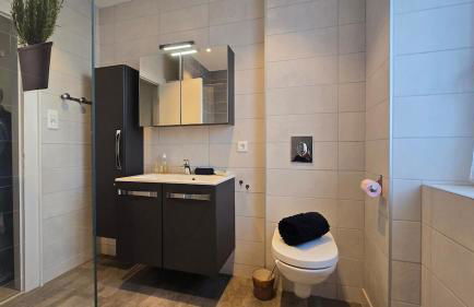 Côté Châteaux au Centre Alsace - Foto 6