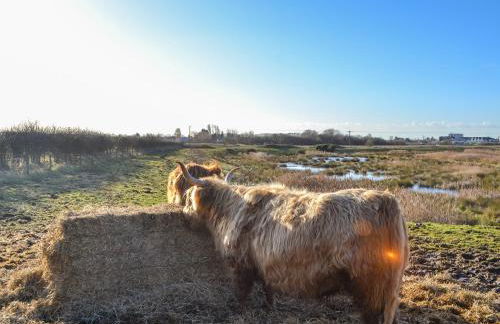 Benny's Cottage - Foto 28