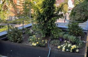 Villa Melanie - Photo 28