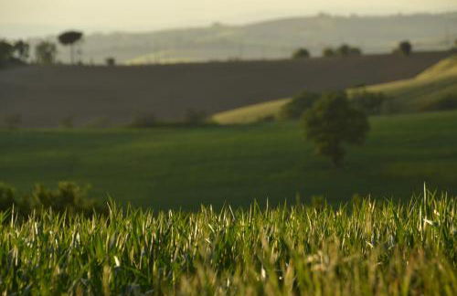 Agriturismo La Casetta del Sole - Photo 39