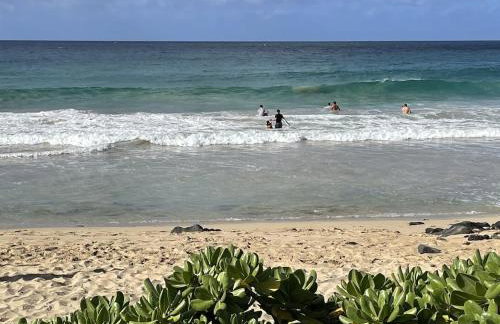 Honu He'e Nalu - The Surfing Turtle - Ocean & Beachfront! Stunning Views! - Foto 10