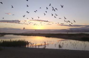 Recanto da Ilha SFS Praia do Capri - Foto 46