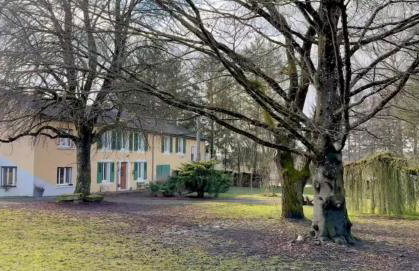 La clé de la forêt - Foto 1