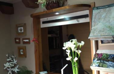 Hotel Apartamentos Barrau - Foto 17