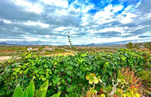 Casa rural Las Golondrinas - Foto 54