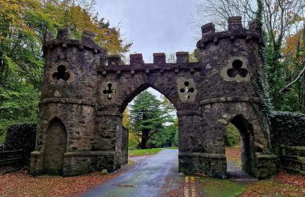 Bryansford Cottage Stables - Foto 23