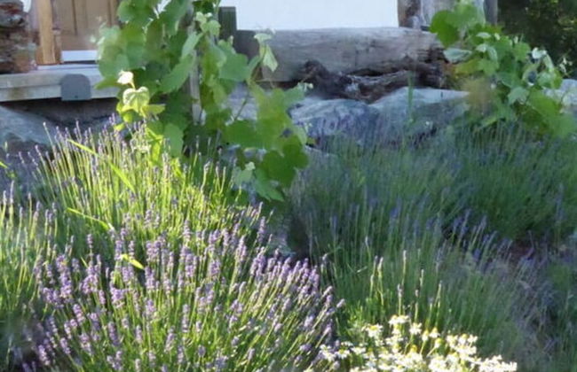 Kellerstockl am Hamerlberg/strem - Foto 35