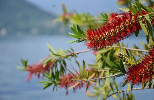 La Casetta Varenna - Foto 66