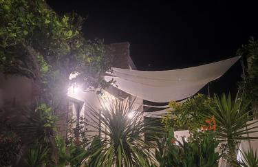 Volin Orebic - Photo 17