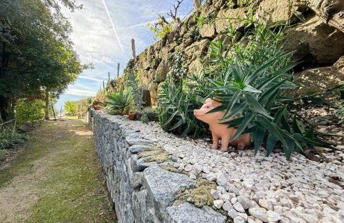 Bosque da Fantasia - Foto 69