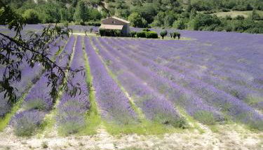 Camping Sainte-Jalle - Foto 1