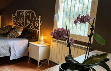 Costa Brava quiet Villa with private pool and jacuzzi - Foto 19