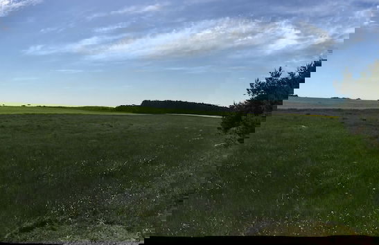 Ferienhaus Mirow-Lärz - Kamin Wald Ruhe - Foto 34
