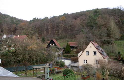 Ferienwohnung/Monteurwohnung Meiser - Foto 36