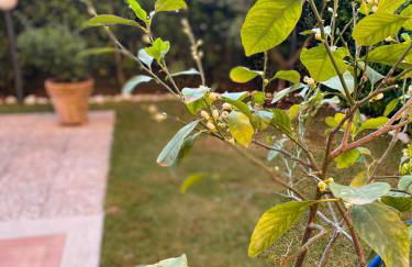 Appartamento L'Olivo - Foto 26