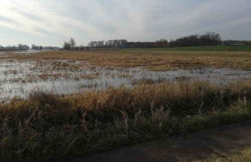 Gutshaus am Nationalpark Unteres Odertal - Foto 56