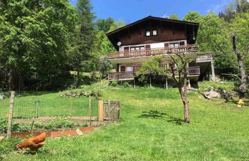 Petite Floria - Foto 15