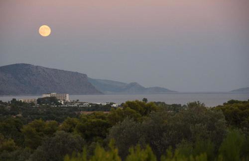 Villa Desiree - Foto 53