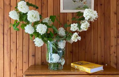 Holiday Villa Żuromino - Foto 42