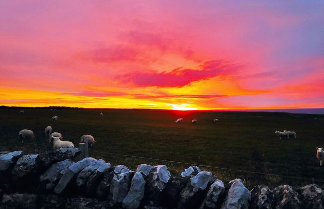 Bespoke Hand Built Shepherds Hut in Dunbeath - Foto 38