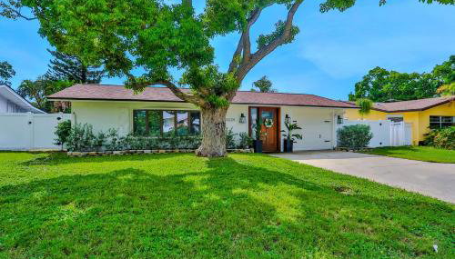 Coquina Treasure - Foto 3