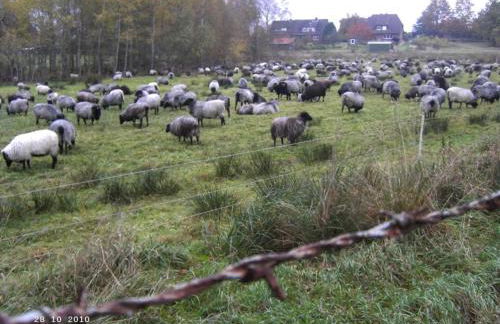 Ferienhaus Huus ton witten Barg - Foto 26