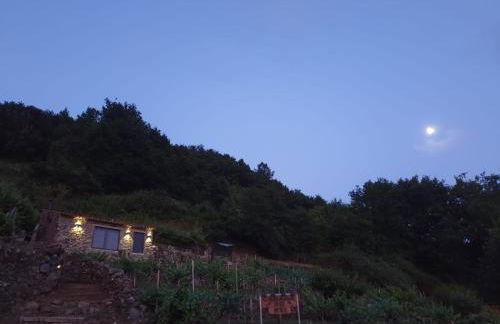 cabaña do rei - Foto 54